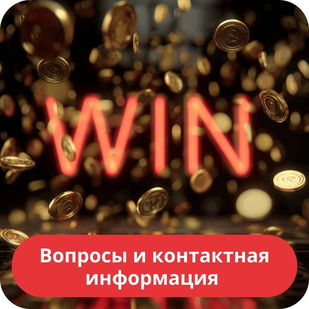Вопросы и контактная информация